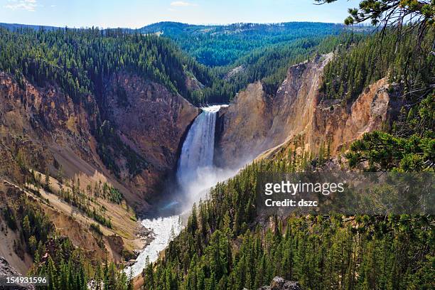 yellowstone falls: river, grand canyon, national park, montana mt - wyoming stock pictures, royalty-free photos & images