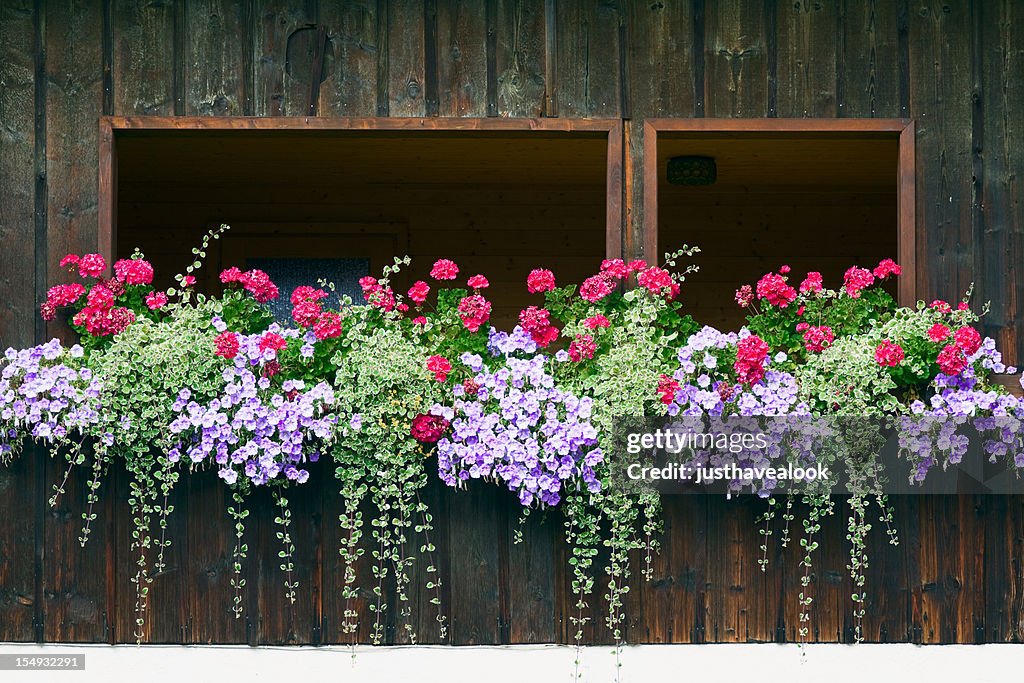 Interno balcone arredato con gru di fatturazione e petunias