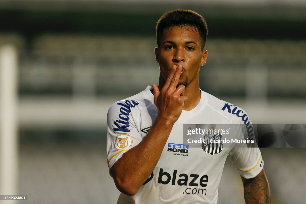 Santos v Botafogo - Brasileirao 2023