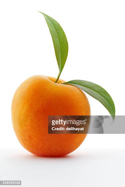 damasco - apricot fotografías e imágenes de stock