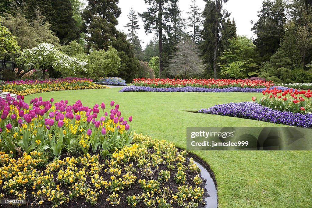 A beautiful landscaped garden of flowers