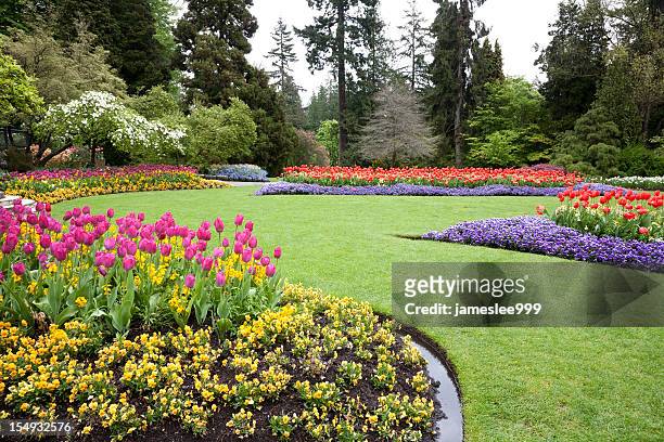 a beautiful landscaped garden of flowers - yard grounds stock pictures, royalty-free photos & images