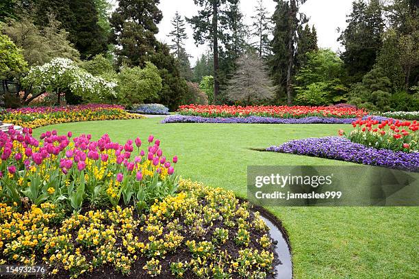 a beautiful landscaped garden of flowers - landscaped flowers stock pictures, royalty-free photos & images