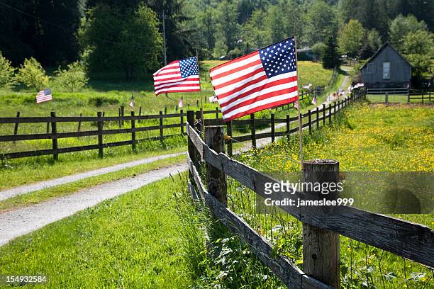 american flag - rural america stock pictures, royalty-free photos & images