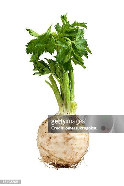 image of growing celery on white background - celeriac stockfoto's en -beelden
