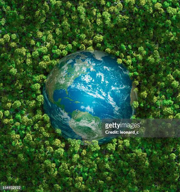 the earth embedded in green shrubbery - environmental issues stock pictures, royalty-free photos & images