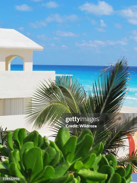 beautiful beach at cancun mexico - mayan riviera stock pictures, royalty-free photos & images