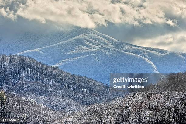 smoky mountains no inverno - clingman's dome - fotografias e filmes do acervo
