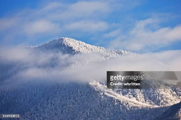 smoky mountains in winter - great smoky mountains stock pictures, royalty-free photos & images