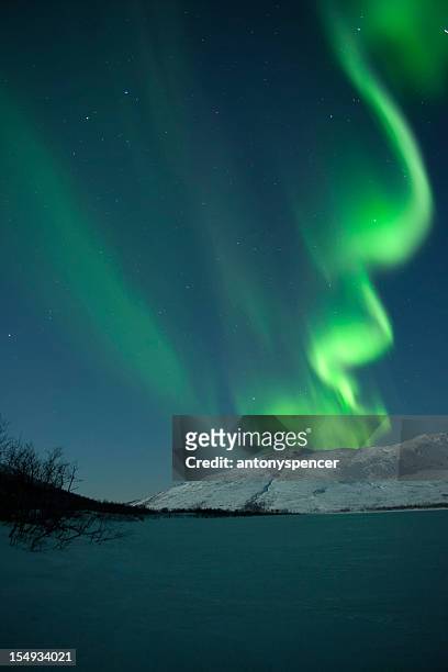 northern lights - aurora stock pictures, royalty-free photos & images