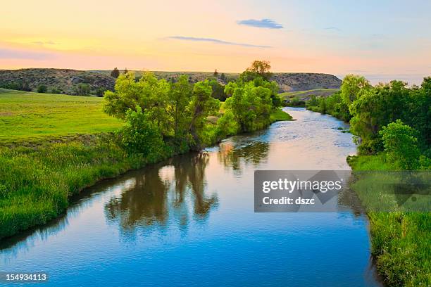 peaceful sunset stream in rural montana - lush tree stock pictures, royalty-free photos & images