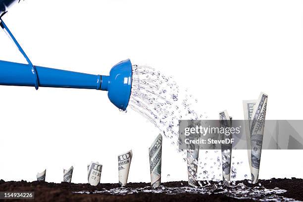 watering money to make it grow - money tree stock pictures, royalty-free photos & images