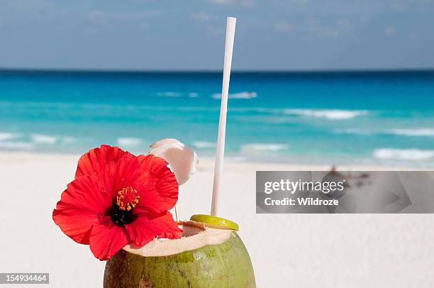 cócteles en la playa tropical coco - cancun fotografías e imágenes de stock