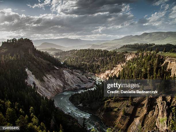 yellowstone national park overlook - yellowstone river stock pictures, royalty-free photos & images