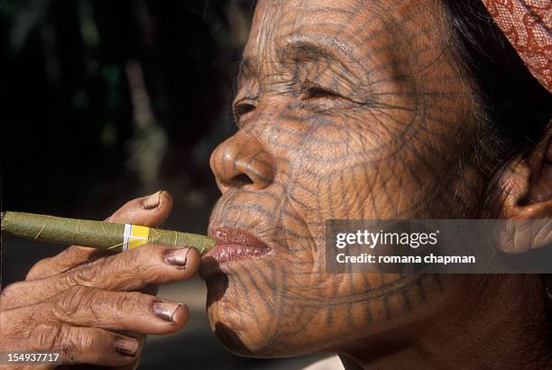 profile of tribal woman with tattooed face - tribal tattoos stock pictures, royalty-free photos & images