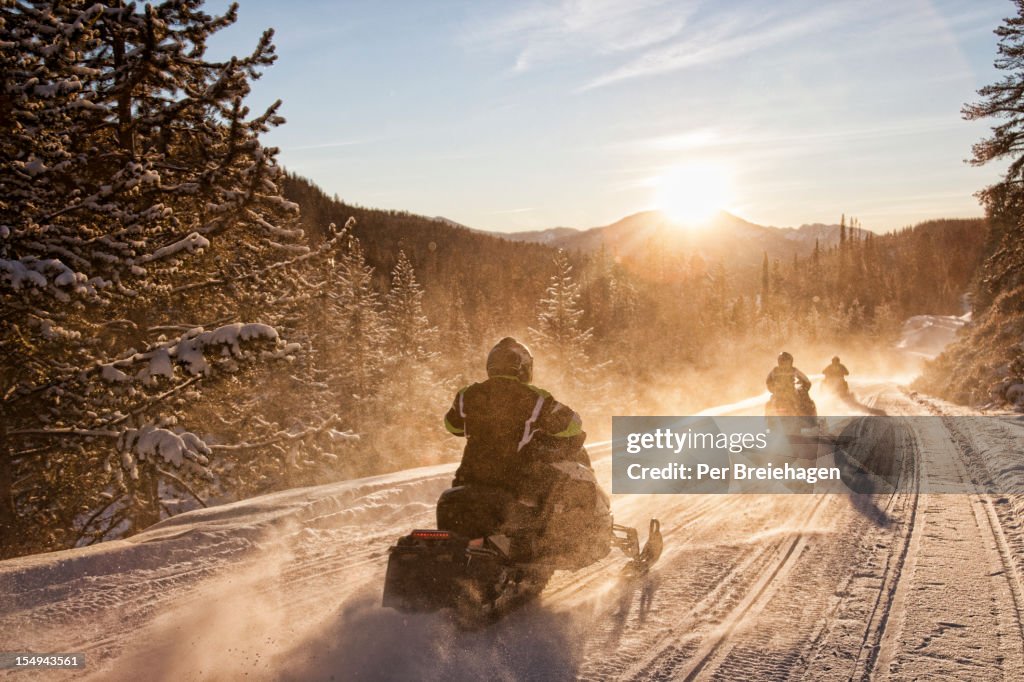 SNOWMOBILES RIDING INTO THE SUNSET