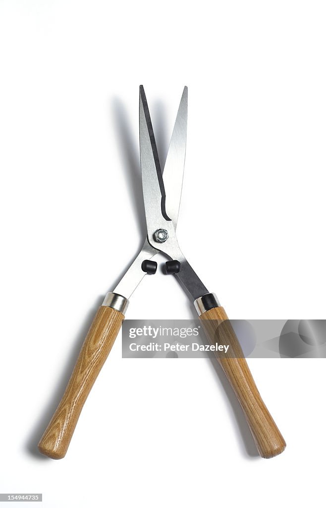 Garden shears with copy space