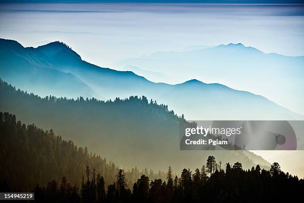 mist on the sierra nevada mountains - tree silhouette stock pictures, royalty-free photos & images