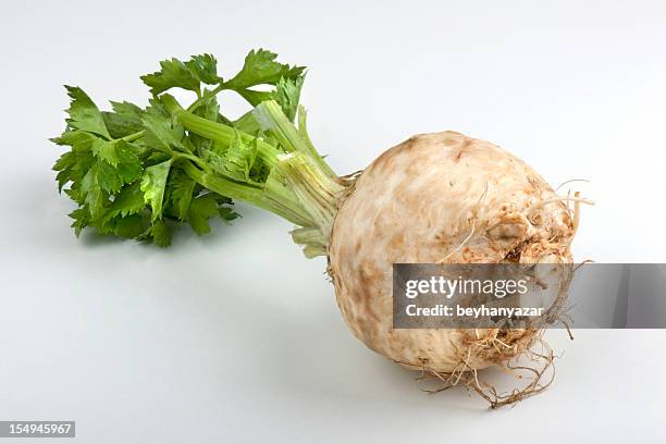 celery - celery root stock pictures, royalty-free photos & images
