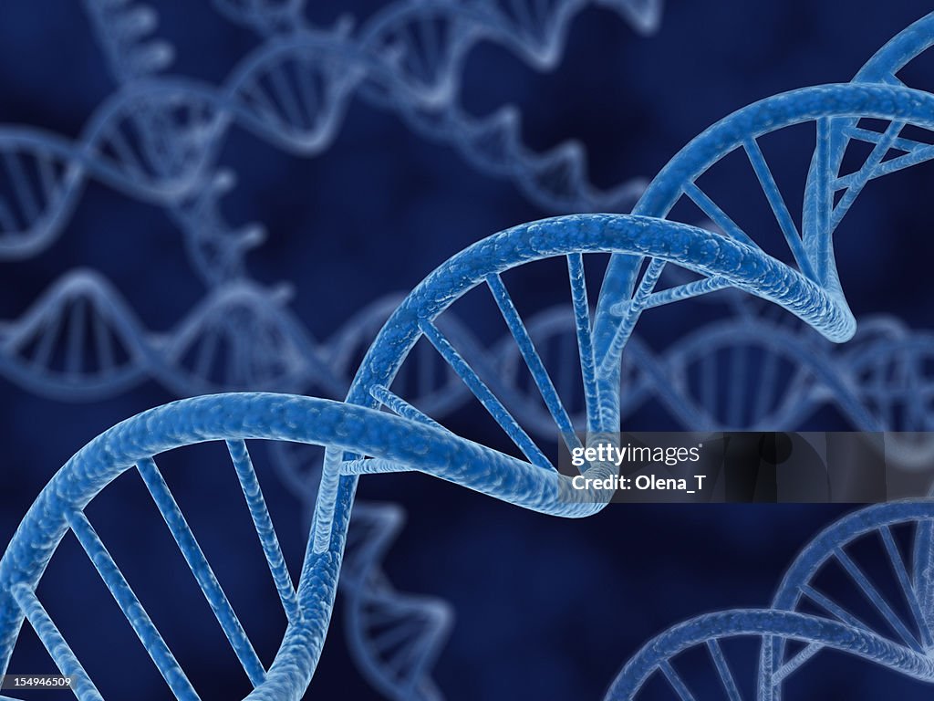 DNA Strands