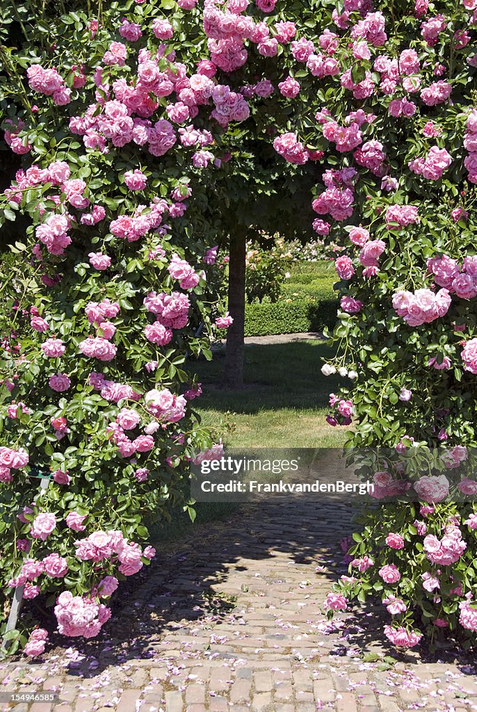 Pink Rose Gate