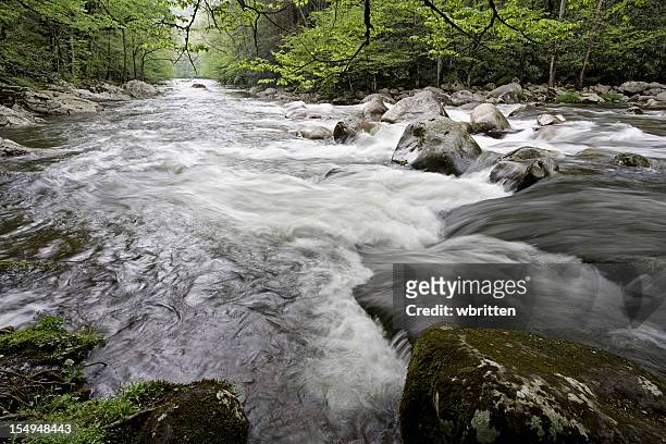 smoky mountains creeks in spring - gatlinburg stock pictures, royalty-free photos & images