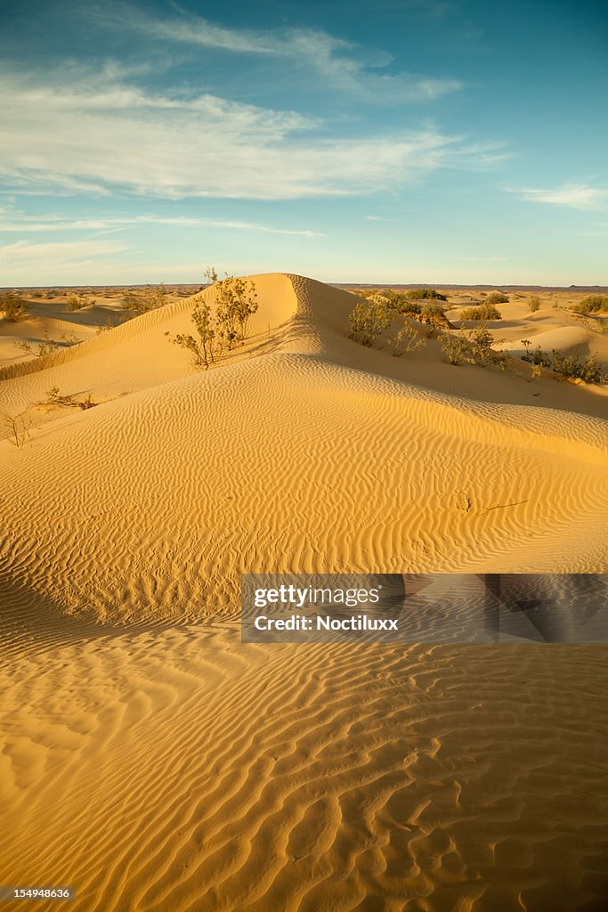 Dunescape in Libysche Sahara desert