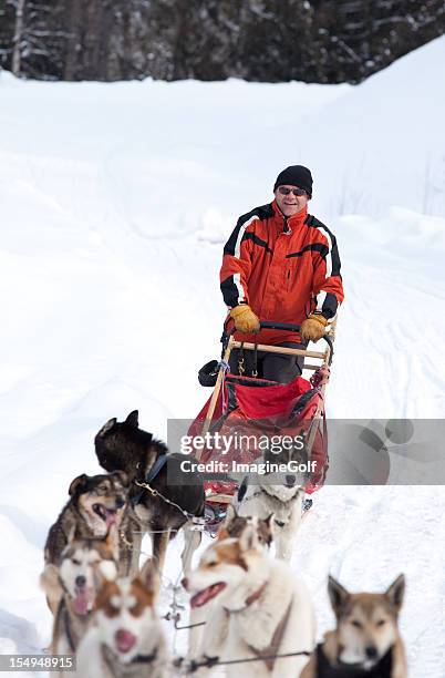 dog sledding - 雪橇犬 個照片及圖片檔