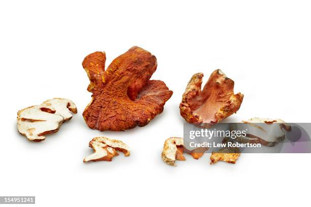 lobster mushroom - hypomyces-lactifluorum fotografías e imágenes de stock
