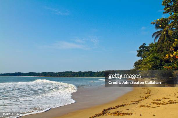 beach at pongara national park, gabon. - libreville stock pictures, royalty-free photos & images