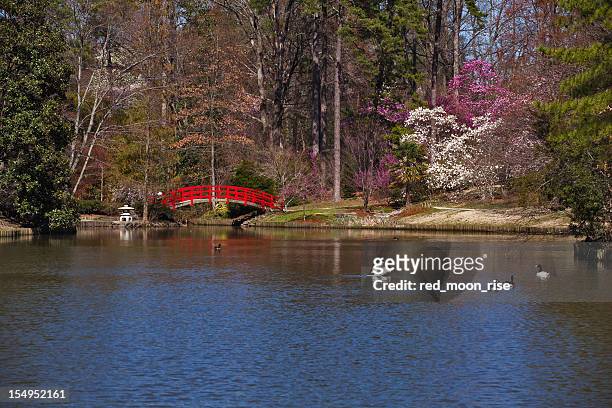 ponte rosso in un giardino giapponese - durham foto e immagini stock