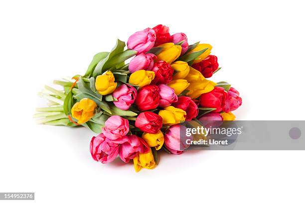 tulipanes bouquet aislado en blanco - ramo de flores fotografías e imágenes de stock