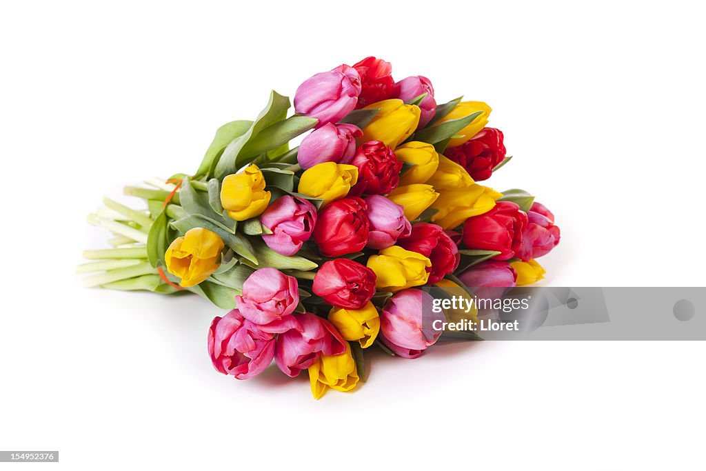 Tulips Bouquet isolated on white