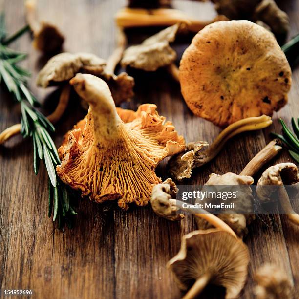 mushrooms on a wooden table for cooking - cantharellus cibarius stock pictures, royalty-free photos & images