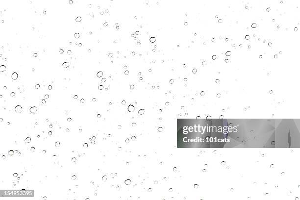 rain drop on glass - dew bildbanksfoton och bilder