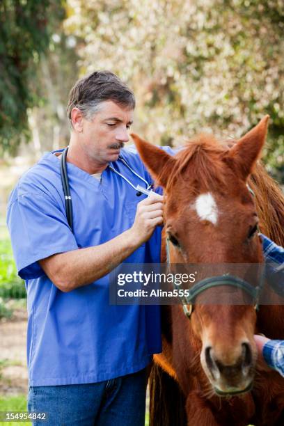 What Are the 7 Top-Paying Animal Health Careers? Veterinary, Pet health, Vets