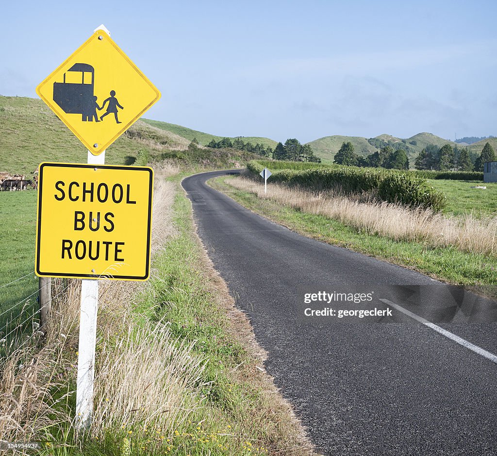 School Bus Route and The Road Ahead