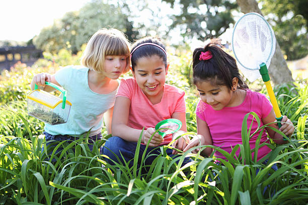 ثلاث بنات في مكان أشبه بحديقة، ويفحصون النباتات بالعدسة المكبرة ويجمعون بعض العينات في صندوق شفاف