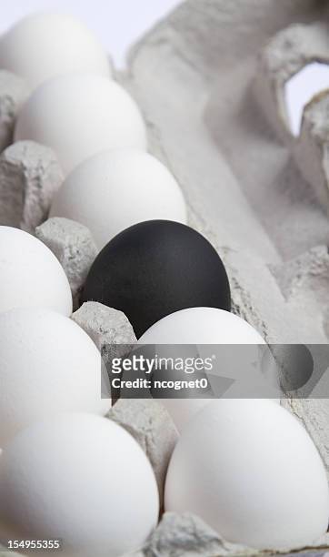 one black egg - segregation stock pictures, royalty-free photos & images