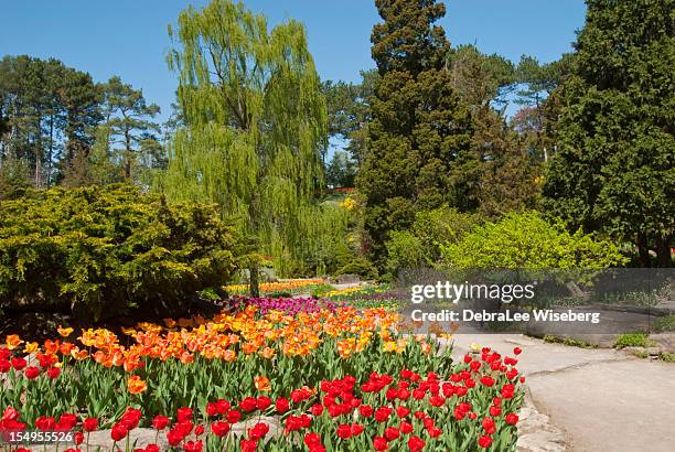 camino de jardín - burlington fotografías e imágenes de stock