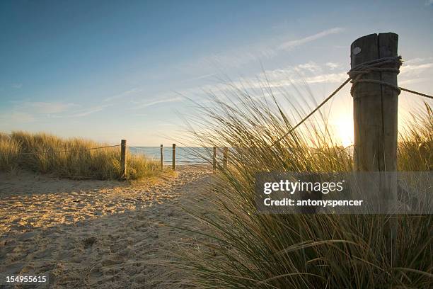 attraverso le dune. - poole foto e immagini stock