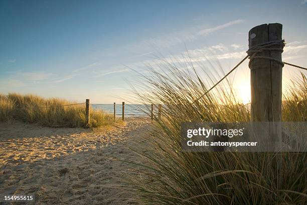 through the dunes... - dorset england stockfoto's en -beelden
