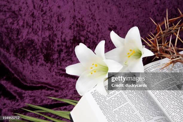 easter, good friday and palm sunday - easter religious stock pictures, royalty-free photos & images