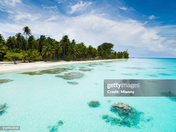 plage de rêve vacances d'été fakarava îles tuamotu polynésie française - polynesie photos et images de collection