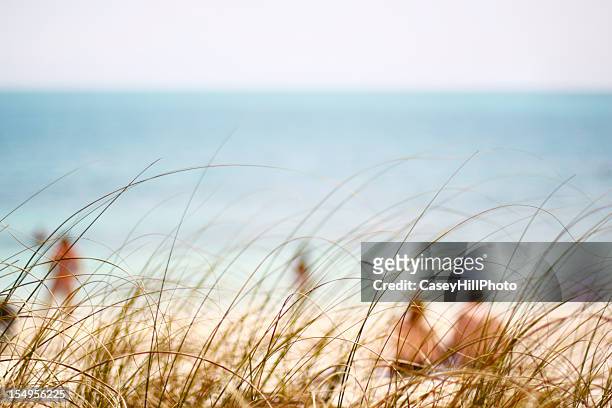beach background - bahia honda key stock pictures, royalty-free photos & images