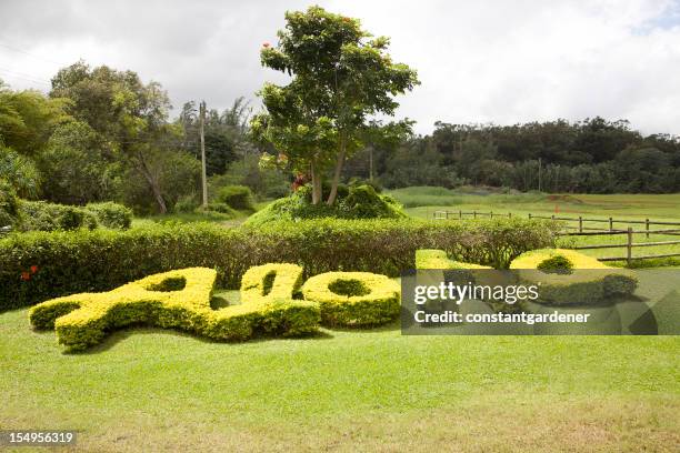 nature spells out hawaiian aloha - aloha stock pictures, royalty-free photos & images