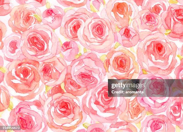 ilustrações de stock, clip art, desenhos animados e ícones de delicada rosas de aguarela - ramo-de-flores