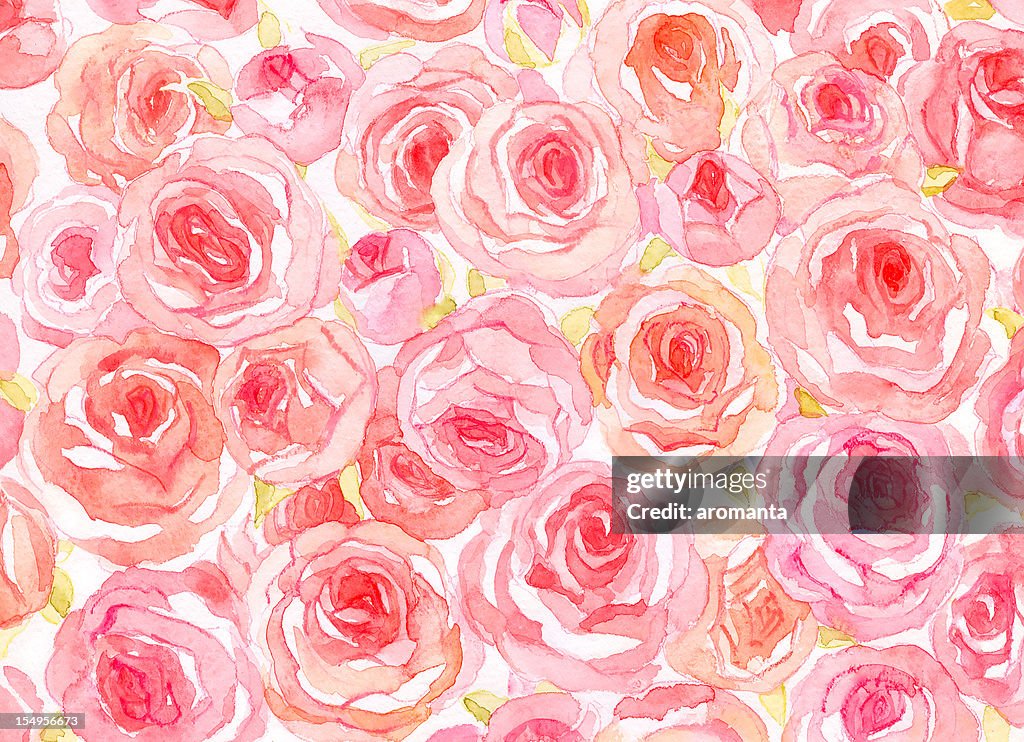 Delicate watercolor roses