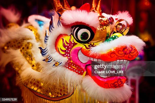 chinese dragon - chinese draak stockfoto's en -beelden