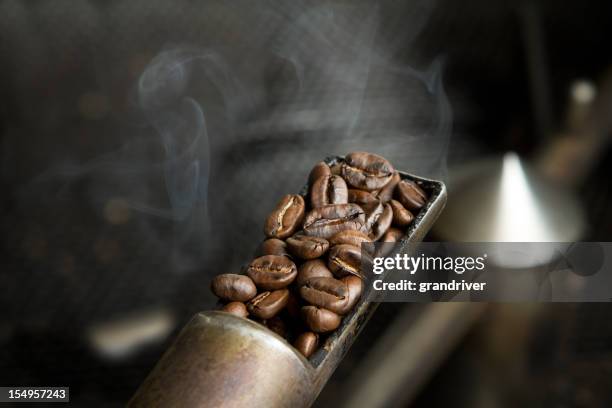 coffee beans roasting sample - geroosterd stockfoto's en -beelden